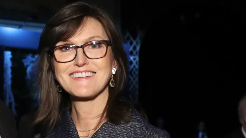 Cathie Wood's Portfolio Shift: Tesla Out, 